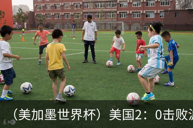（美加墨世界杯）美国2：0击败波黑 三支东道主球队均晋级16强